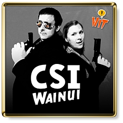 csi wainui